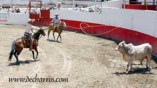 decharros.com Luispedro