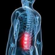 ortho-spine.com Lumbar