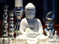 fotothing.com Lunalunita