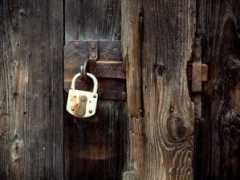 fotothing.com Lunalunita