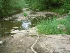 Lunebach