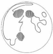 astromax.org Lunman