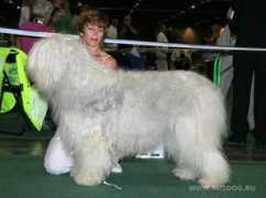 sro.rusdog.ru Lutaya