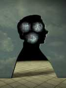 alumni.stanford.edu Lyhus