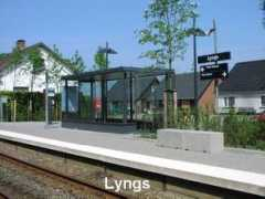 Lyngs