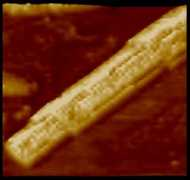 .cnrs.fr Maaloum
