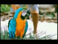 mozartandfriends.com Macheck