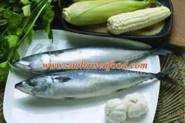 zaohaiseafood.com Mackerel