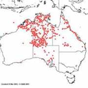 Maconochie