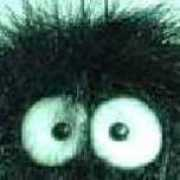 Madmonkey