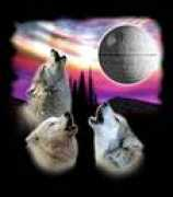 forums.evga.com Madrias