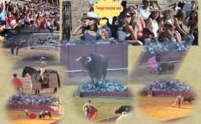 people.uncw.edu Maestranza