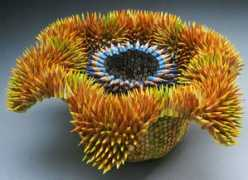 dataisnature.com Maestre