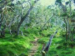 panoramio.com Mafate