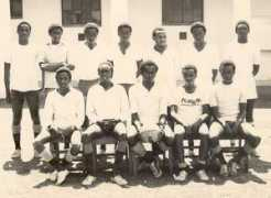 Mafunga