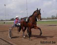 fototrot.be Magdalon