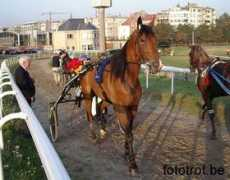 fototrot.be Magdalon