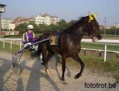 fototrot.be Magdalon