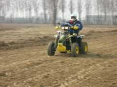 buggywonderland.it Maggese