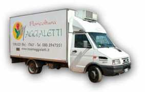 Maggialetti