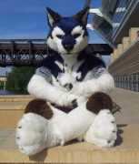 maglot.deviantart.com Maglot