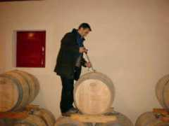 cyber-wineshop.com Magneau