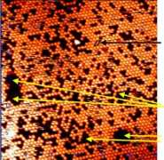 Magnetite