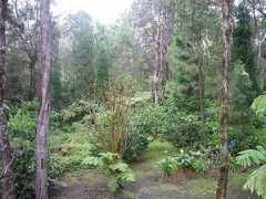 westhill.com Mahinui