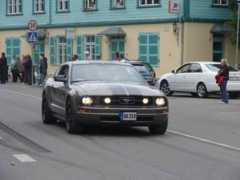 galerii.fmce.ee Maiben