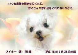 pet-ceremony.info Maikii