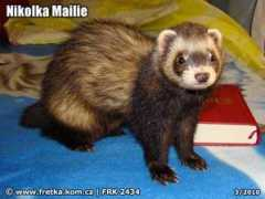 fretka.kom.cz Mailie