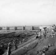 tonyallsopp.com Mailsi