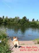 sam.hi-ho.ne.jp Mainente