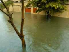 noticias.uol.com.br Mainoth