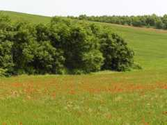 panoramio.com Maios