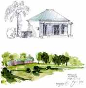 gregmontgomery.com Maitland