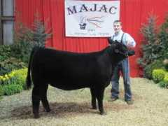 druckfamily.com Majac