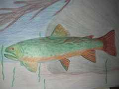 state.nj.us Makofsky