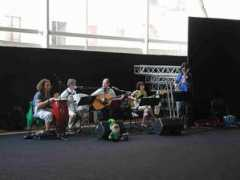 lepricorns.it Malanchin