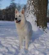 of-kimberlys-pride.com Maldwin