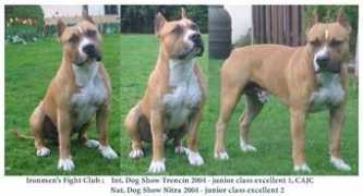 georgetown.ingyenweb.hu Malihina