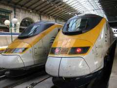 treehugger.com Mallich