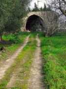 Malorgio