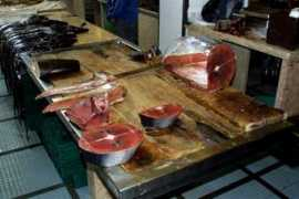 wilnsdorf-niederdielfen.de Mameer