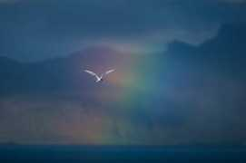 en.novayagazeta.ru Mamontovs