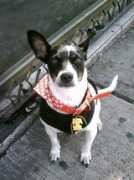 jpgmag.com Manchitas