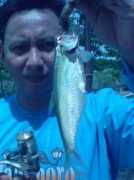 Mancing