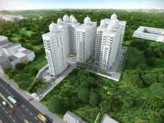 Mandavi