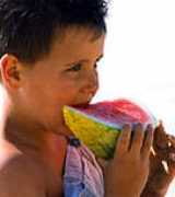 blog.ricette-calorie.com Mangero