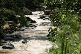 panoramio.com Mangima